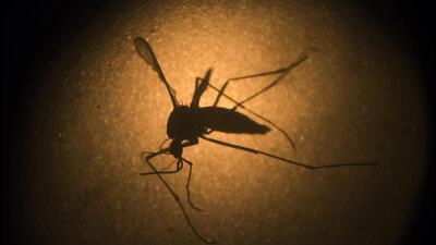 The samples of both patients were sent to the National Institute of Virology (NIV) which confirmed the virus infection. (REPRESENTATIVE PIC)