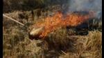 The state government’s scheme is aimed at stopping the practice of stubble burning. The state government’s scheme is aimed at stopping the practice of stubble burning.