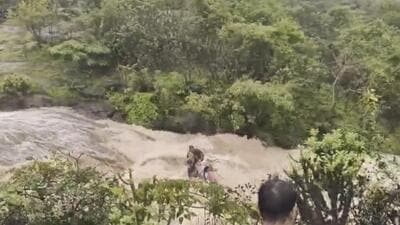 **EDS: SCREENSHOT VIA PTI VIDEOS** Pune: Five persons, including a woman, are feared drowned in a waterfall close to the backwater of Bhushi Dam in Pune's Lonavala area, Sunday, June 30, 2024. (PTI Photo) (PTI06_30_2024_000362A) (PTI)