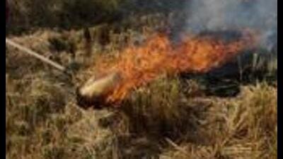 The state government’s scheme is aimed at stopping the practice of stubble burning.