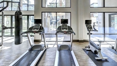Explore the 9 best Amazon offers on treadmills, Gym bikes and walking Pads for your home fitness routine (Pixabay) Explore the 9 best Amazon offers on treadmills, Gym bikes and walking Pads for your home fitness routine (Pixabay)