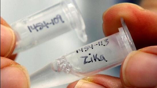 In a letter sent to PMC health officer dated July 11, joint director of health services Dr Radhakishan Pawar – who is also in charge of vector-borne diseases in Maharashtra – has directed that all expecting mothers living within five kilometres of Zika-affected areas be tested for Zika virus infection. (REPRESENTATIVE PHOTO)