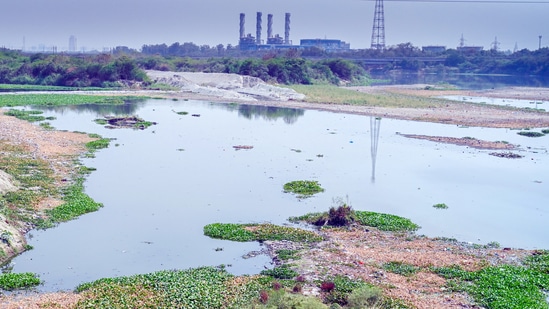 The Delhi high court has ordered the Delhi Development Authority (DDA) to remove all encroachments and illegal construction on the Yamuna river bank, riverbed, and drains flowing into the river.(Arvind Yadav/ Hindustan Times)