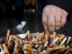 Tobacco litter (Representative file image) Tobacco litter (Representative file image)