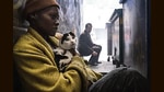 The two cats that play Frodo in A Quiet Place: Day One were so cooperative, they’ve made global news. The two cats that play Frodo in A Quiet Place: Day One were so cooperative, they’ve made global news.