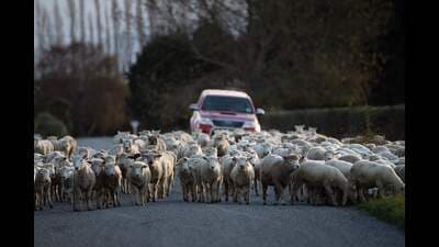 For Representation Only (AFP File)