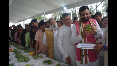 Haryana chief minister Nayab Singh Saini also visited the Mango Mela organised at Yadavindra Gardens in Pinjore. He said that the central government has made a separate budget provision to promote the trend towards natural farming. (Sant Arora /HT)