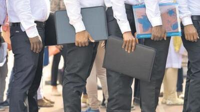 The Haryana Cabinet on Friday gave nod to launch the IT Saksham Yuva Scheme, 2024, the target of which is to give jobs to 5,000 youths in the first phase. (HT File/ Representational image) The Haryana Cabinet on Friday gave nod to launch the IT Saksham Yuva Scheme, 2024, the target of which is to give jobs to 5,000 youths in the first phase. (HT File/ Representational image)