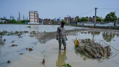 The Munak canal was breached, disrupting water supply to four of the nine water treatment plants (WTP) in the Capital. (Raj K Raj/HT Photo) The Munak canal was breached, disrupting water supply to four of the nine water treatment plants (WTP) in the Capital. (Raj K Raj/HT Photo)
