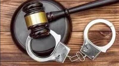 The Punjab and Haryana high court observed that new laws adopted by the country would prove to make the justice delivery system more efficient. (HT File) The Punjab and Haryana high court observed that new laws adopted by the country would prove to make the justice delivery system more efficient. (HT File)