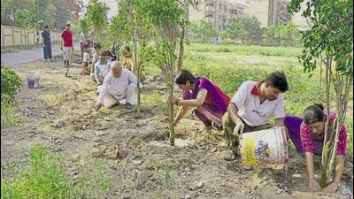 The community group “Green Your Neighbourhood” has been provided 5,000 saplings by the Noida authority, which will jointly work with the group and spread awareness among residents about planting sapling besides boosting the green cover. (HT Photo)