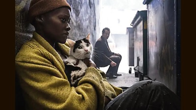 The two cats that play Frodo in A Quiet Place: Day One were so cooperative, they’ve made global news. The two cats that play Frodo in A Quiet Place: Day One were so cooperative, they’ve made global news.