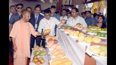 UP chief minister Yogi Adityanath at the Uttar Pradesh Mango Festival-2024 (HT Photo)