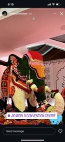 Topiary art at Anant Ambani wedding venue.