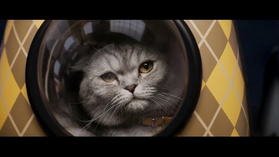 Alfie in Argylle was played by director Matthew Vaughn’s daughter’s pet cat Chip, and had to have his performance enhanced by CGI. Alfie in Argylle was played by director Matthew Vaughn’s daughter’s pet cat Chip, and had to have his performance enhanced by CGI.