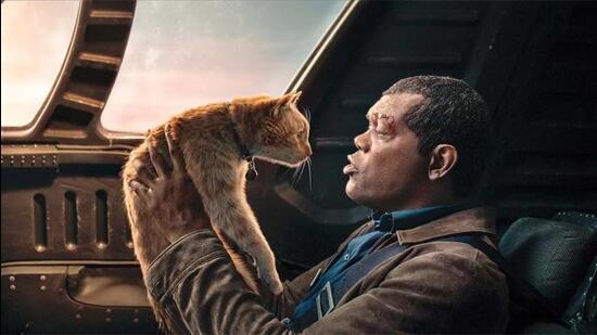 One of the six cats that plays Goose. One of the six cats that plays Goose.