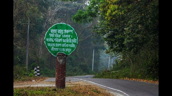 A road in Rajabhat Khawa, West Bengal, near the Buxa Tiger Reserve. Particularly in sensitive areas, roads can disrupt feeding and migration routes, isolate pockets of animal populations, and affect breeding patterns and gene pools. (Shutterstock)