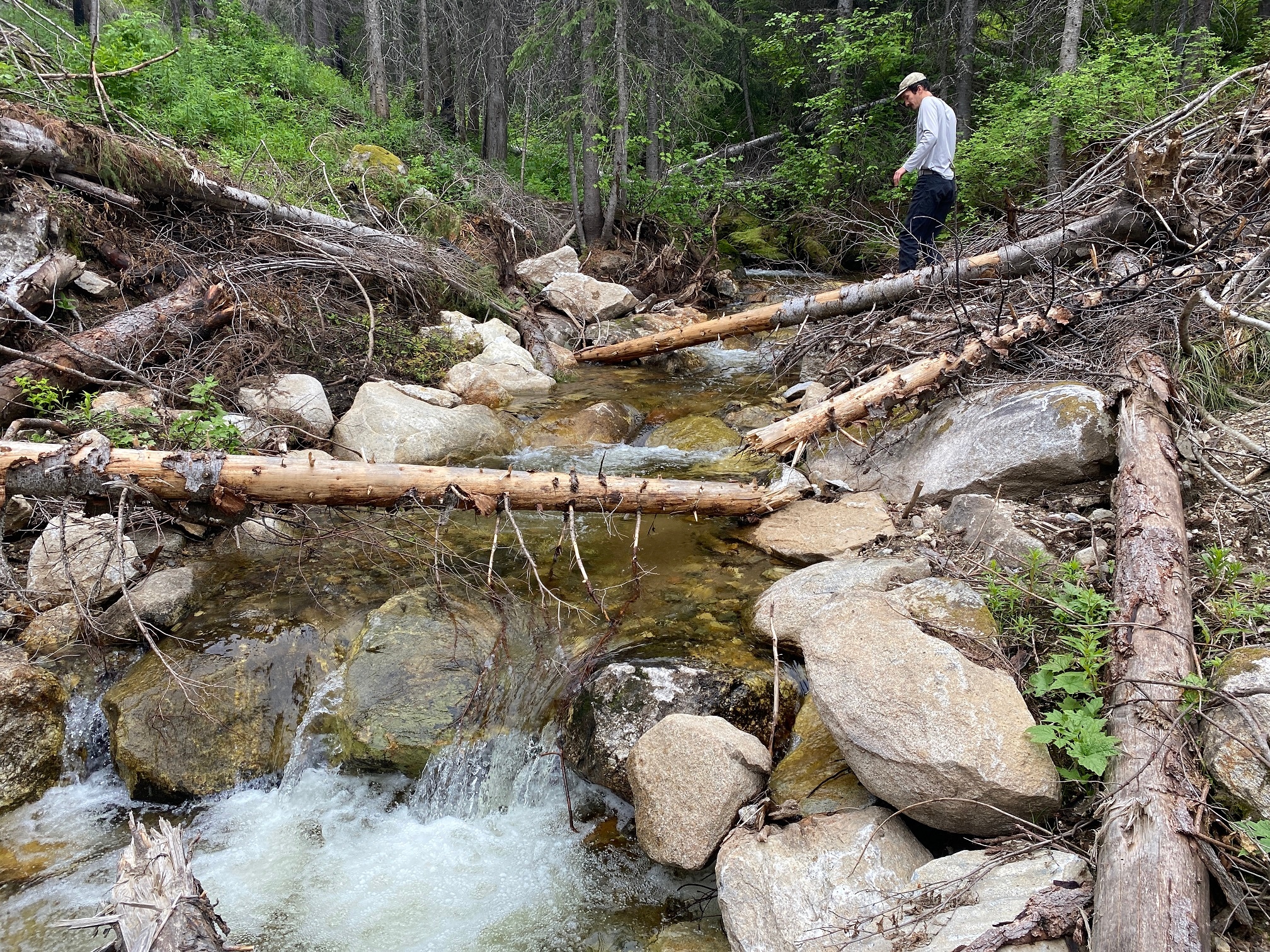 A fish-barrier culvert is de-commissioned at the Lolo National Forest in Montana. (Photo: Adam Switalski) A fish-barrier culvert is de-commissioned at the Lolo National Forest in Montana. (Photo: Adam Switalski)