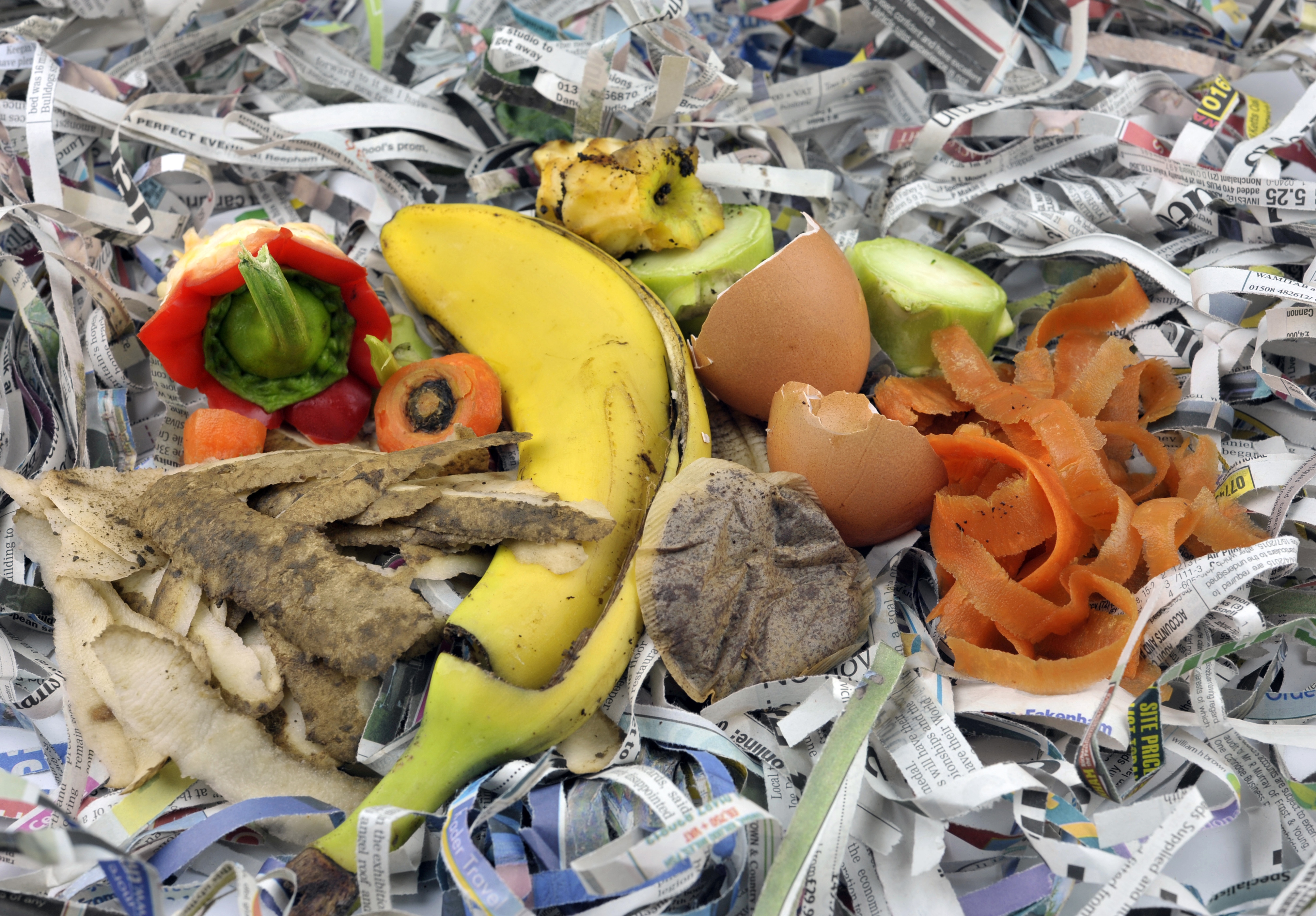 Add shredded paper bags to compost (shutterstock) Add shredded paper bags to compost (shutterstock)