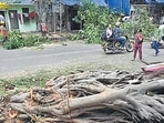 A banyan tree fell in Parel on July 2, killing 57-year-old Varsha Mestri. (Anshuman Poyrekar/HT Photo)