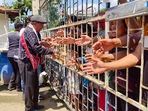 Champai: Indian citizens shake hands with Myanmar nationals during a rally against scrapping of the Free Movement Regime (FMR), at Indo-Myanmar Friendship Gate, at Zokhawthar village along India-Myanmar border, in Champhai district of Mizoram, Thursday, May 16, 2024. (PTI Photo) (PTI) Champai: Indian citizens shake hands with Myanmar nationals during a rally against scrapping of the Free Movement Regime (FMR), at Indo-Myanmar Friendship Gate, at Zokhawthar village along India-Myanmar border, in Champhai district of Mizoram, Thursday, May 16, 2024. (PTI Photo) (PTI)