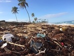 Plastic waste often ends up in water bodies, causing massive harm to animal and human health. (Unsplash) Plastic waste often ends up in water bodies, causing massive harm to animal and human health. (Unsplash)