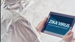 The civic body has reported active Zika virus transmission in eight wards — Karve Nagar-Warje, Hadapsar, Kothrud-Bavdhan, Aundh-Baner, Sinhagad Road, Ahmednagar Road, Kondhwa-Yewalewadi and Yerawada. (REPRESENTATIVE PHOTO) The civic body has reported active Zika virus transmission in eight wards — Karve Nagar-Warje, Hadapsar, Kothrud-Bavdhan, Aundh-Baner, Sinhagad Road, Ahmednagar Road, Kondhwa-Yewalewadi and Yerawada. (REPRESENTATIVE PHOTO)