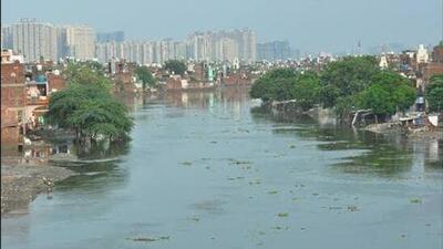 As per the revenue department records, there are a total 1,018 water bodies registered across the district. As many as 211 water bodies have been reeling under encroachments of residential establishments that have been developed by the locals. (HT Photo)