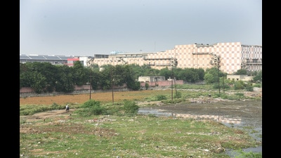 The 63-acre patch is one of only two “city forests” earmarked under Master Plan 2021, the other one is about 100-acre land at Karhera, behind the Hindon airbase. (Sakib Ali/HT Photo) The 63-acre patch is one of only two “city forests” earmarked under Master Plan 2021, the other one is about 100-acre land at Karhera, behind the Hindon airbase. (Sakib Ali/HT Photo)