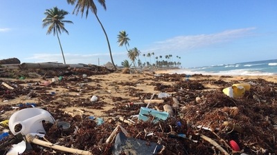 Plastic waste often ends up in water bodies, causing massive harm to animal and human health. (Unsplash)