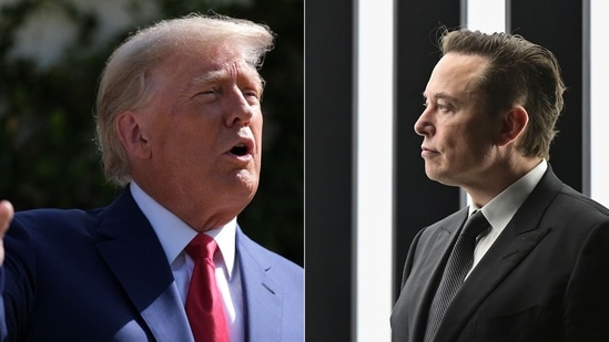 Former US President Donald Trump and billionaire Elon Musk(Reuters)