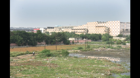 The 63-acre patch is one of only two “city forests” earmarked under Master Plan 2021, the other one is about 100-acre land at Karhera, behind the Hindon airbase. (Sakib Ali/HT Photo)