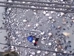 An official tied the dog to safety gear while rescuing it. An official tied the dog to safety gear while rescuing it.