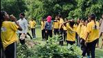 In the past month, 100,000 saplings have been planted along the Noida-Greater Noida Expressway. (HT Photo) In the past month, 100,000 saplings have been planted along the Noida-Greater Noida Expressway. (HT Photo)