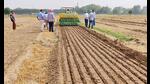 The reason behind the dismal results is the easy availability of labourers and canal water, says Punjab Agricultural University vice-chancellor SS Gosal. The reason behind the dismal results is the easy availability of labourers and canal water, says Punjab Agricultural University vice-chancellor SS Gosal.