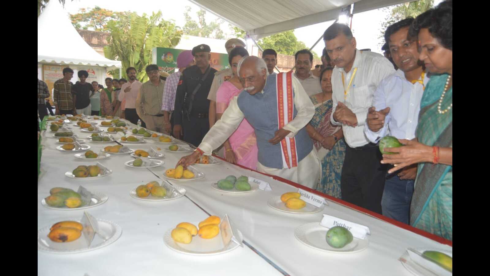 Panchkula: Mango Mela attracts 2 lakh visitors in three days