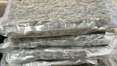 Flyer from Bangkok held with ganja worth ₹1.95 crore Flyer from Bangkok held with ganja worth ₹1.95 crore