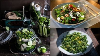 Mustard greens and highly nutritious and versatile leafy vegetables rich in antioxidants and vitamins (Unsplash) Mustard greens and highly nutritious and versatile leafy vegetables rich in antioxidants and vitamins (Unsplash)