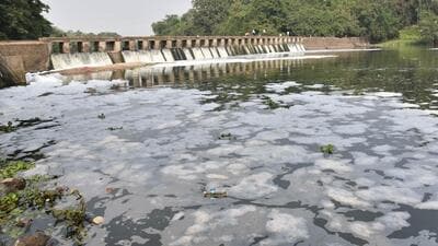 At four notices, Aurangabad and Kolhapur got the second-highest number of notices for sugar industries after Pune. (REPRESENTATIVE PHOTO)