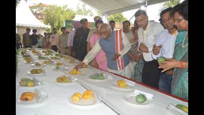 Haryana governor Bandaru Dattatreya distributed Mango Kesari and Mango Ratna awards to farmers on the concluding day of the 31st Mango Mela at Yadavindra Gardens, Pinjore. (HT Photo) Haryana governor Bandaru Dattatreya distributed Mango Kesari and Mango Ratna awards to farmers on the concluding day of the 31st Mango Mela at Yadavindra Gardens, Pinjore. (HT Photo)