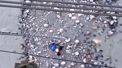 An official tied the dog to safety gear while rescuing it. An official tied the dog to safety gear while rescuing it.