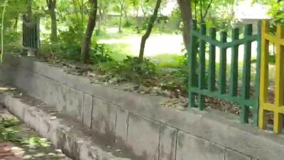 A tendering process is underway and work of repairing the damaged portions will soon be taken up, said a horticulture department of Noida authority. (HT Photo) A tendering process is underway and work of repairing the damaged portions will soon be taken up, said a horticulture department of Noida authority. (HT Photo)