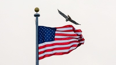 The United States’ (US) new International Entrepreneur Rule (IER) gives non-citizen entrepreneurs the approval to temporarily live/work in the US for up to 5 years if they meet certain conditions. (AFP)