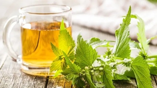 Nettle tea is detoxifying in nature. It also binds to Androgens and removes excess Androgens from the body.&nbsp;(Unsplash)