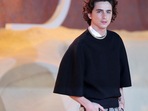 Actor Timothee Chalamet will star and produce in Josh Safdie's upcoming film. 
REUTERS/Hannah McKay