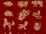 5 Chinese zodiac signs will likely receive luck in love this week from July 15-21, 2024.
