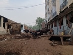 The Madanpur Khadar dairy allotment, to be made into a pilot project by the Delhi authorities, has been facing problems with waste disposal due to the lack of a biogas plant The Madanpur Khadar dairy allotment, to be made into a pilot project by the Delhi authorities, has been facing problems with waste disposal due to the lack of a biogas plant