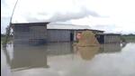 A flooded area in Assam. (PTI Photo)