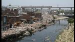 The project aims to create a pollution-free green riverfront with a plantation drive on land vacated after the demolition of Akbar Nagar. (File Photo) The project aims to create a pollution-free green riverfront with a plantation drive on land vacated after the demolition of Akbar Nagar. (File Photo)