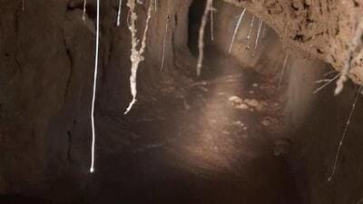 Police said the tunnel has waist-deep water. (Representational image)